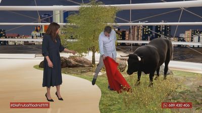 Descubre todos los secretos del mundo del toro