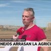 Preocupación entre los agricultores madrileños por la plaga de conejos