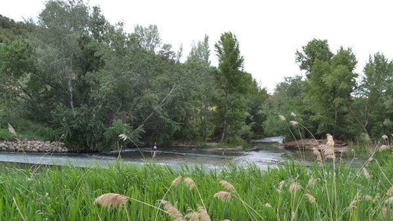 La Isla de los García, en Alcalá de Henares