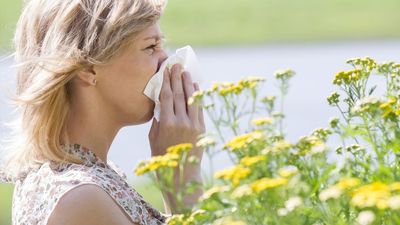 Los mejores remedios contra las alergias de la primavera