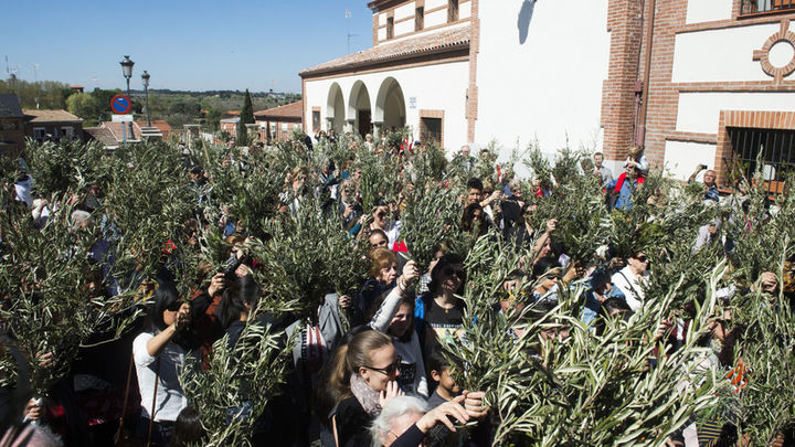 Semana Santa en Pozuelo de Alarcón / AYUNTAMIENTO DE POZUELO DE ALARCÓN