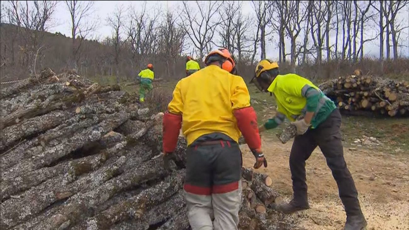 Cuidar los montes para mantener la calidad del agua en Madrid