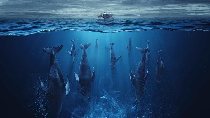 El quinto día (Movistar) / dos hasta las dos