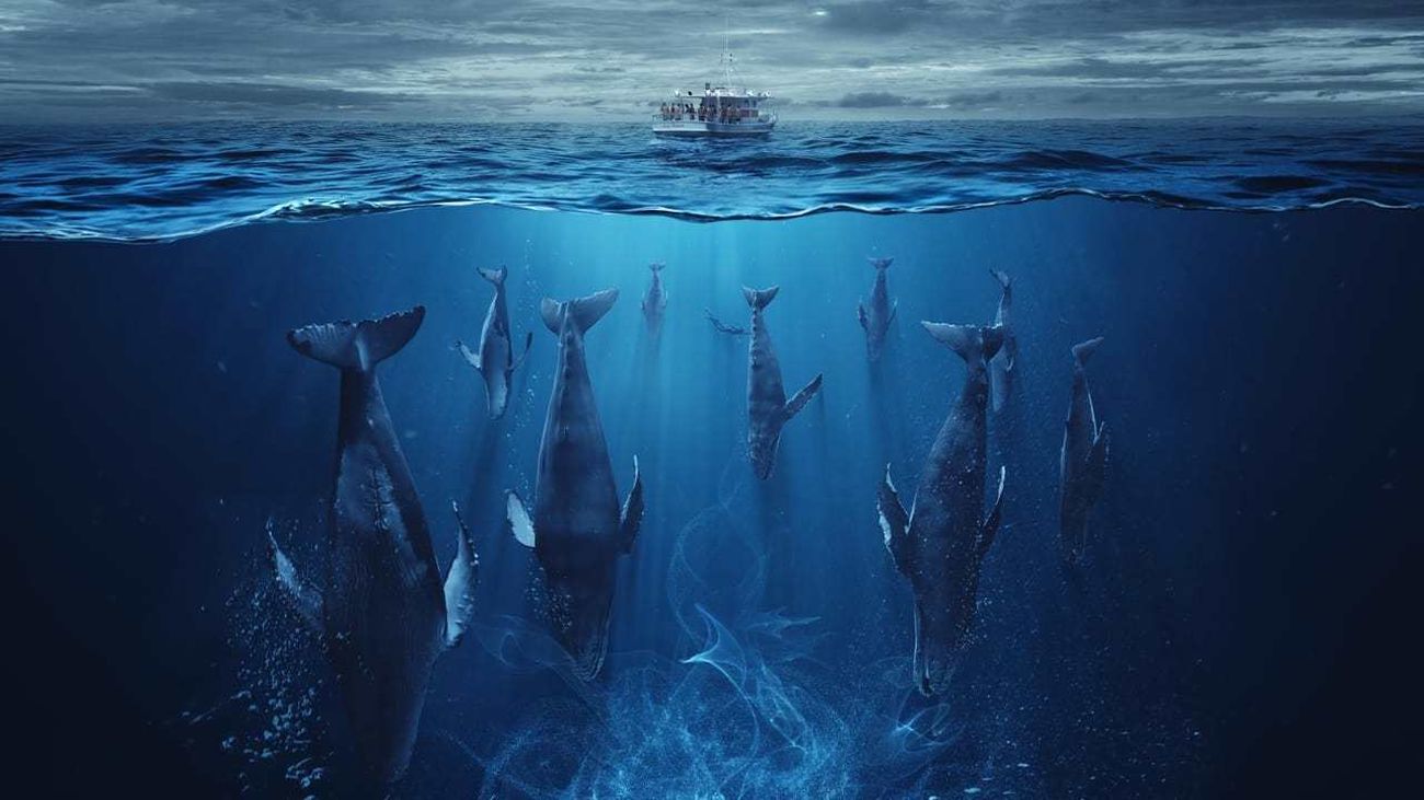 ENSERIADOS: JUNTOS, PERO NO REVUELTOS