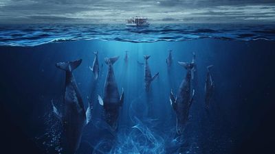 Enseriados: Juntos, pero no revueltos 25.03.2023