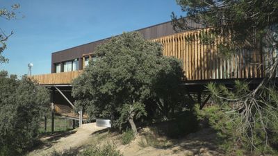 La vivienda de Diego: ubicada en las copas de los árboles