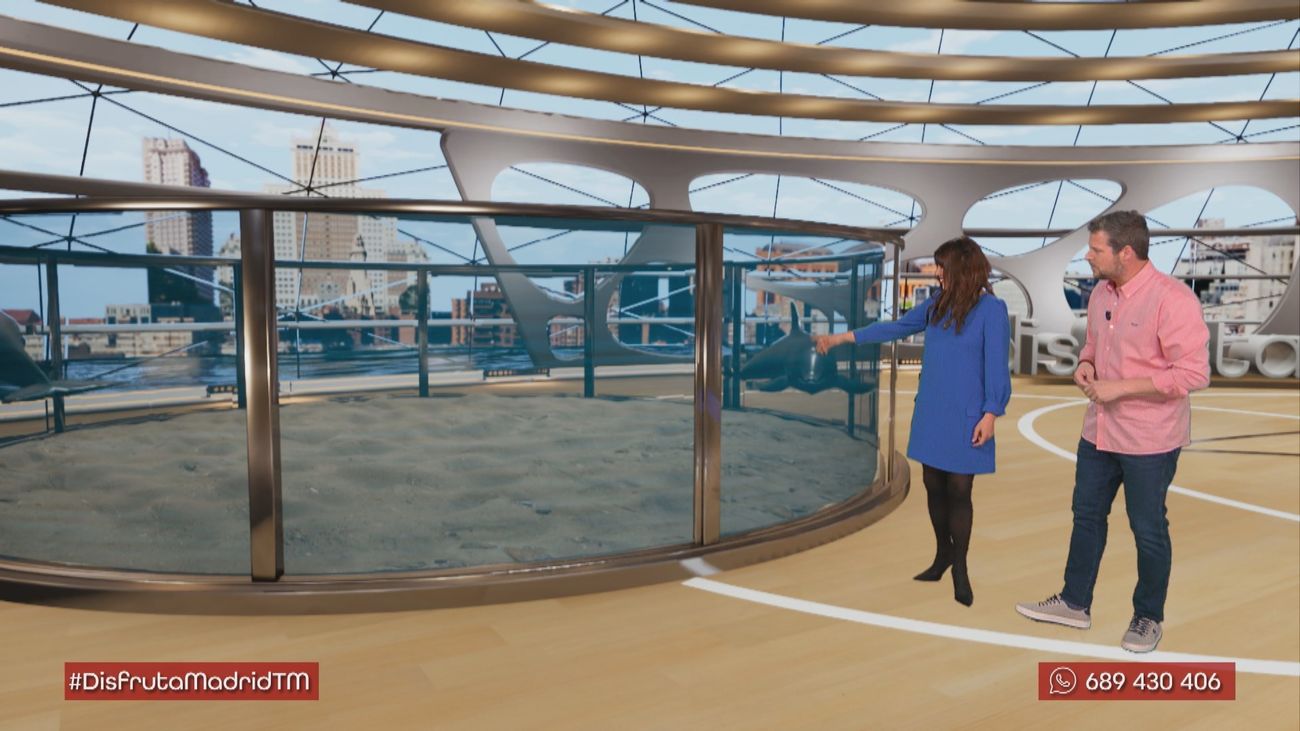 Lo que nadie conoce del delfinario del Zoo Aquarium de Madrid