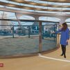 Lo que nadie conoce del delfinario del Zoo Aquarium de Madrid