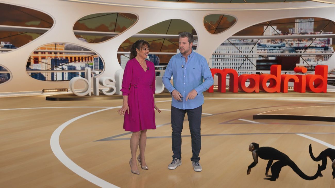 Los secretos del cuidador del zoo de Madrid: 40 años de experiencia