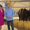 Los búfalos de Colmenar Viejo: visitamos la única granja de este tipo en Madrid