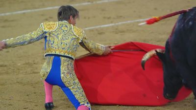 Toros en Navalcarnero (2ª Parte)