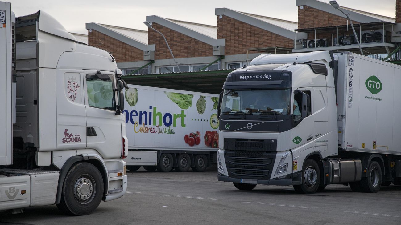 España necesita unos 20.000 camioneros y el 70% de los que hay ya supera los 50 años