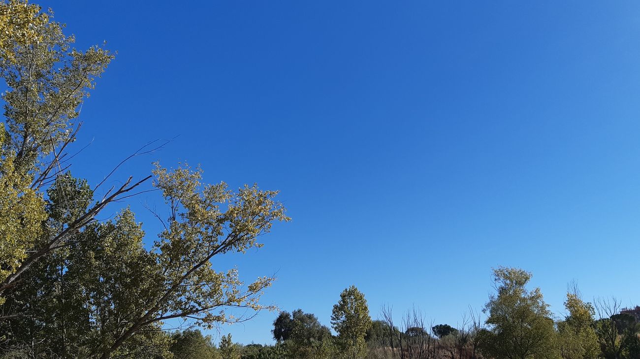 Cielos completamente despejados sobre el monte de El Pardo