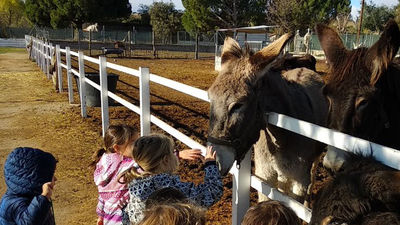 Burrolandia, un plan perfecto con niños en Madrid