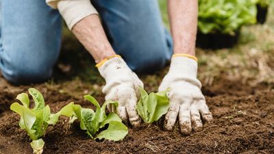 Los agricultores denuncian que "los costes de producción no están bajando" y "hay ayudas mal repartidas"