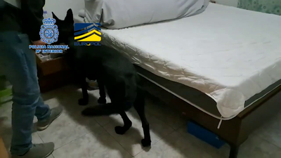 La Policía detiene a 30 personas en España y Bélgica y desarticula una red que explotaba sexualmente a mujeres chinas