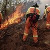 Asturias suma 116 incendios, la mayoría intencionados