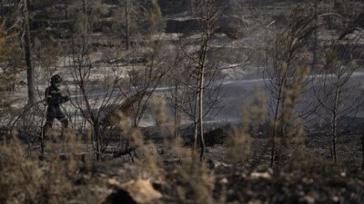 Controlado el incendio de Castellón tras ocho días de lucha contra las llamas