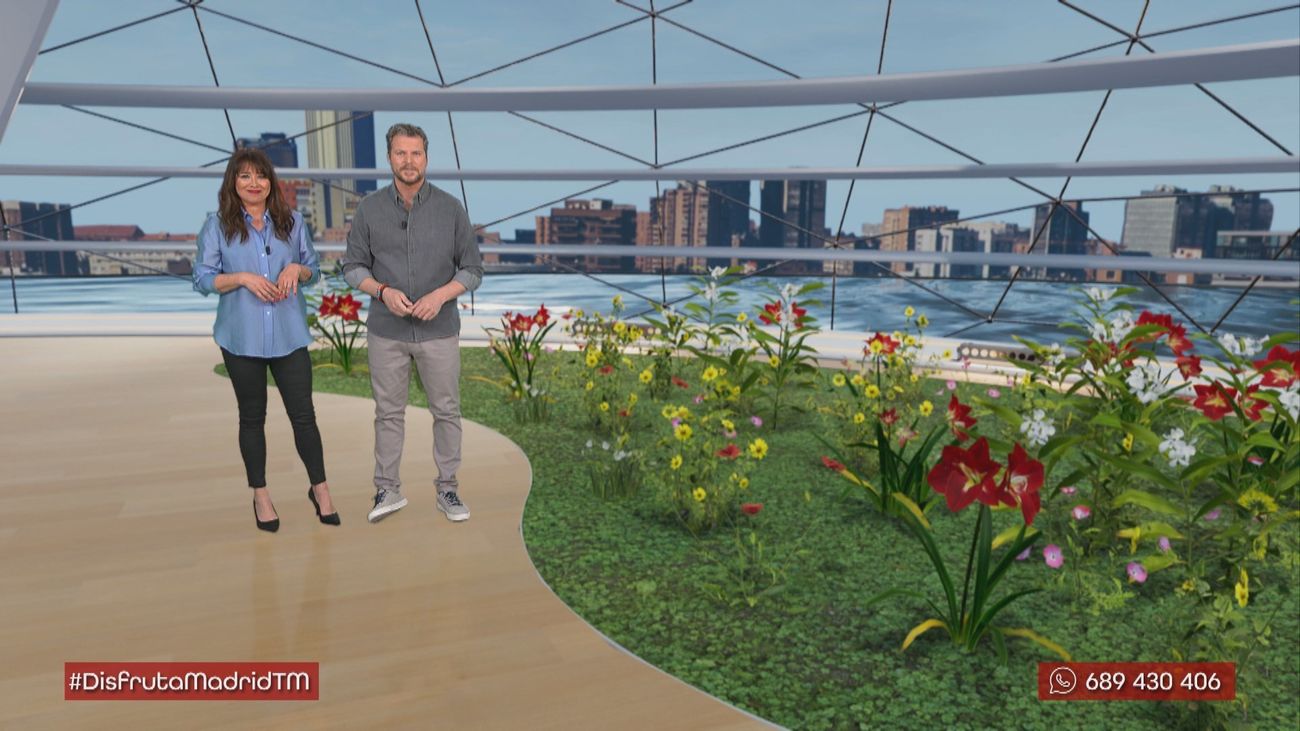 La floriografía: el lenguaje secreto de las flores