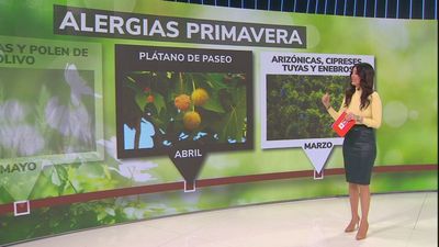 Primavera, época de alergias