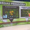 Primavera, época de alergias