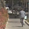 Cibeles se va a "repensar" el carril bici de la Castellana, pendiente de completarse