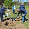 La Comunidad arranca en Daganzo la plantación de  6.000 nuevos árboles en 13 municipios