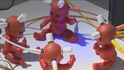 La tecnología y el arte se fusionan en DESILUSIONES, la muestra inmersiva de la galería EST-ART