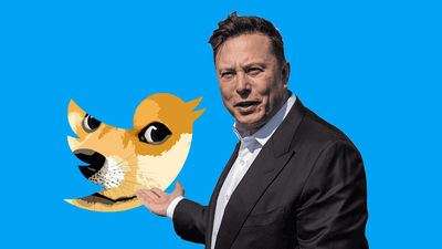 Qué es ese perro que sale en Twitter: el dogecoin