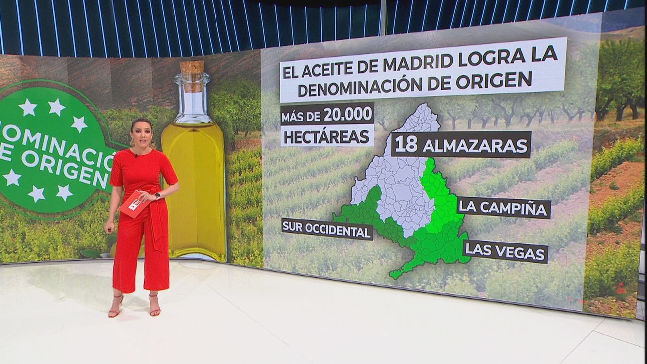 El nuevo atractivo turístico de Madrid: el aceite de oliva con denominación de origen