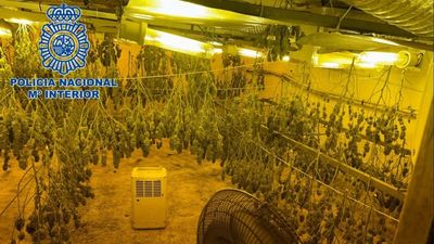 Descubren un zulo subterráneo con un cultivo de 200 plantas de marihuana en Almería
