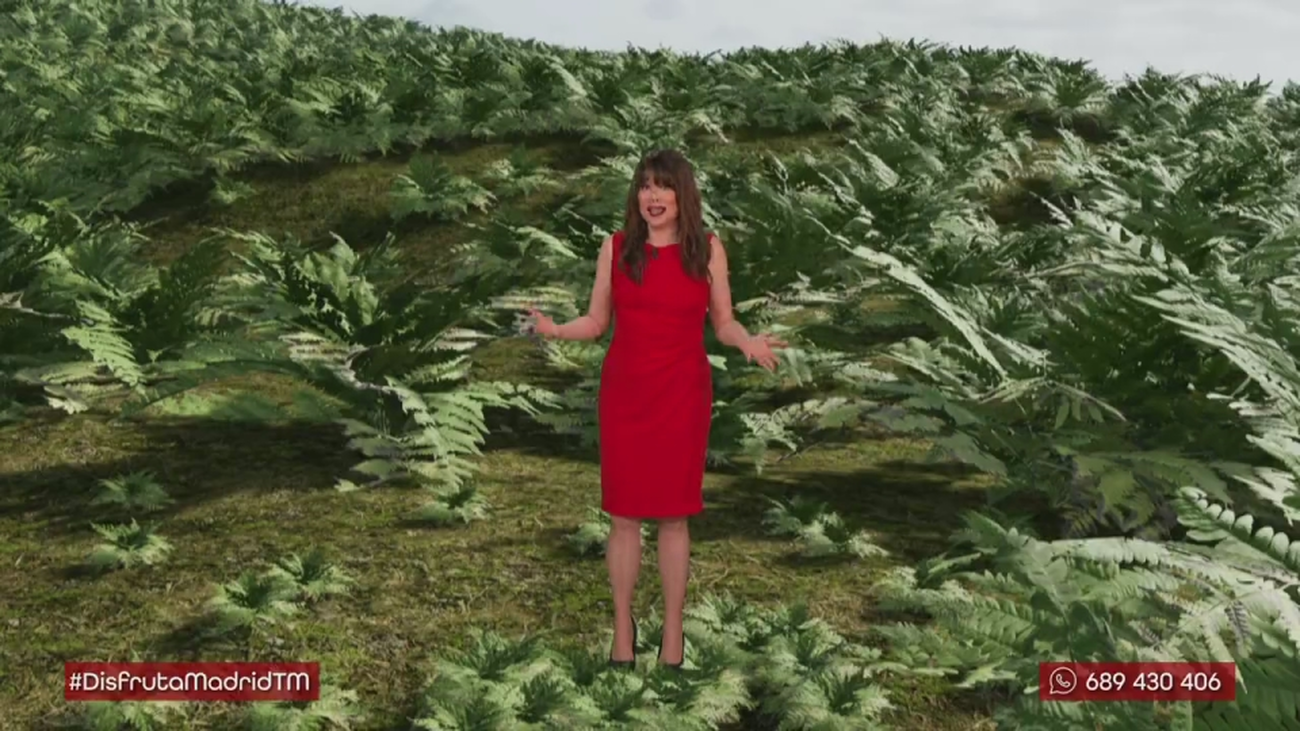 ¿Cómo se formaron los bosques de la Comunidad de Madrid?