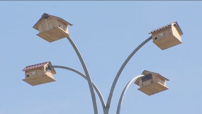 ¿Qué son las murcielagueras de Fuenlabrada?