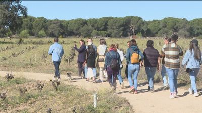 El turismo enológico, en auge en Madrid