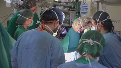 El Banco de Tejidos de Madrid implanta una nueva técnica para trasplantes