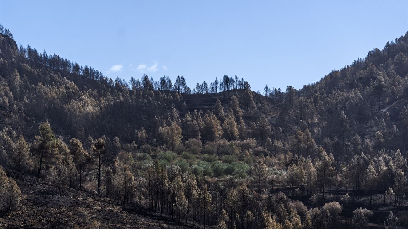 Incendio de Villanueva de Viver, Castellón