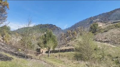 Controlado el incendio que amenazaba el Parque Natural del Alto Tajo, en Guadalajara