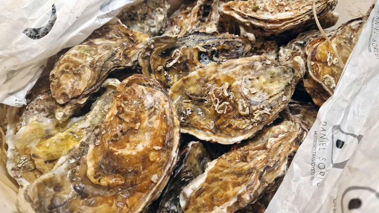 Consejos para elegir y consumir las mejores ostras