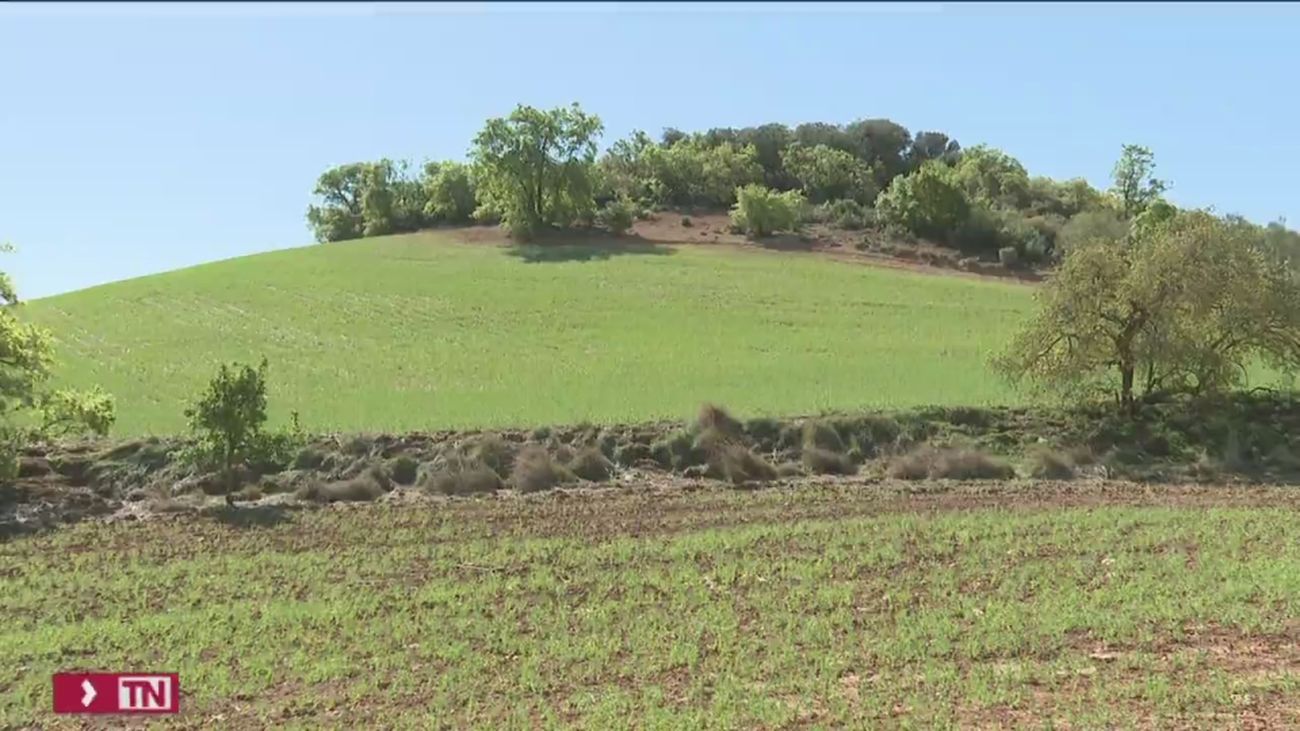 La falta de lluvias y la situación del campo español activa la Mesa de la Sequía