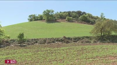 La falta de lluvias y la situación del campo español activa la Mesa de la Sequía