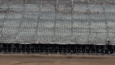 Mueren 18.000 vacas en una explosión en una granja en Texas