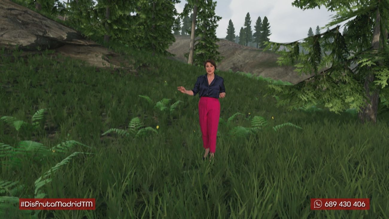 Estos son los dos tipos de viento propios de la Comunidad de Madrid