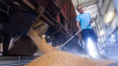 Polonia y Hungría prohíben importar grano de Ucrania