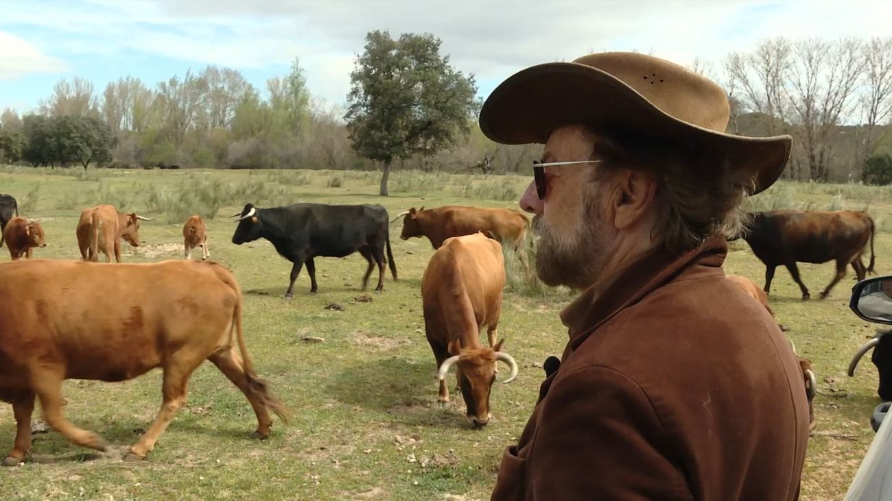 Mi cámara y yo: Vivir del toro