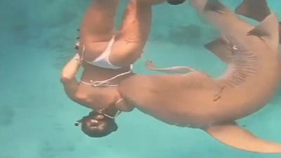 El aterrador momento en el que un tiburón muerde a una buceadora en Maldivas