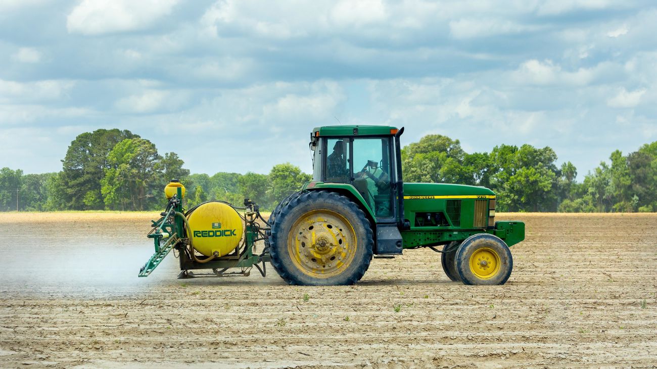 Estos son los cultivos más afectados por la sequía: ¿cómo puede cambiar su precio a corto plazo?