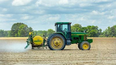 Estos son los cultivos más afectados por la sequía: ¿cómo puede cambiar su precio a corto plazo?