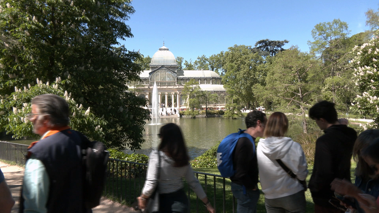 Una ruta en El Retiro nos permite conocer toda su flora