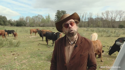 Ganadero: "Criar a un toro bravo cuesta entre 3.000 y 4.000€"