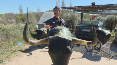 Así se hacen los carretones taurinos para profesionales